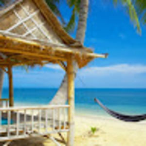 Meet your Posher, Lully